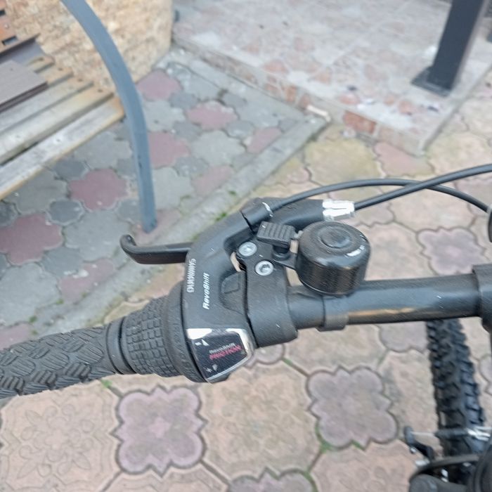 Mountain bike /24 Colinelli