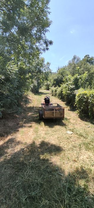 Casa Bătrânească cu teren 1600m2