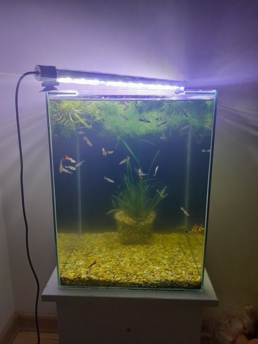 Продам аквариум кубик