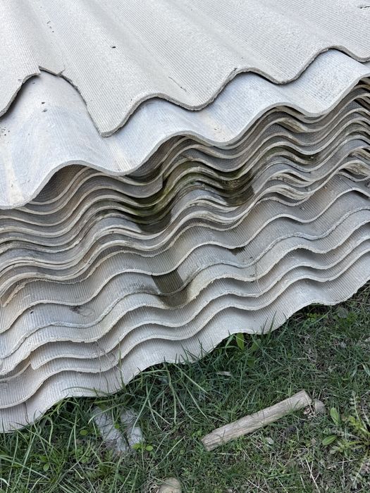 Шипр буу алам ди