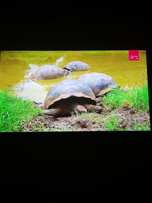 Телефизор Samsung