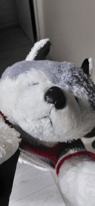 Плюшевые игрушки