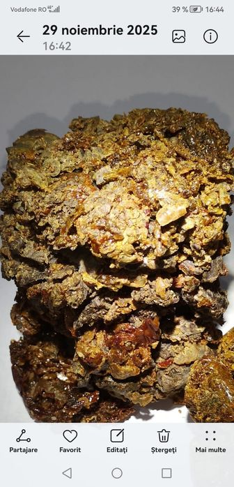 Vând propolisul brut Calitatea 1