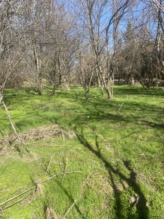 Продавам къща в Горско Сливово