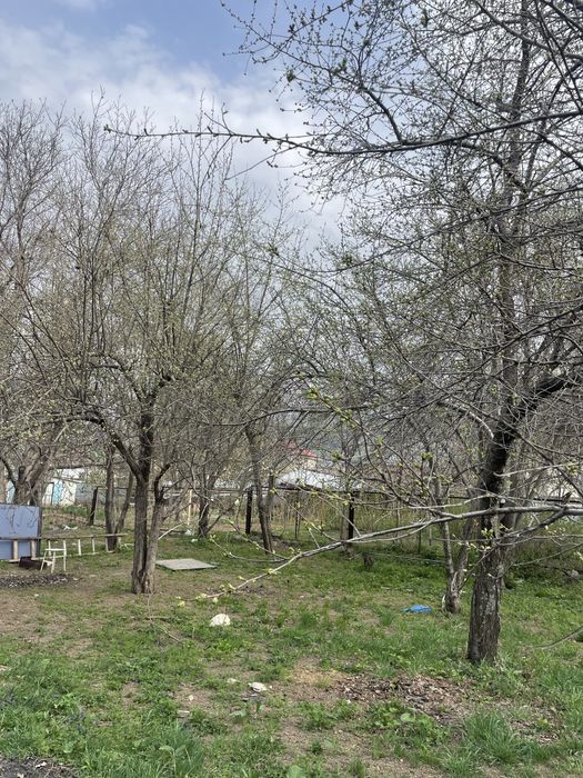 Продам участок Кыргаулды