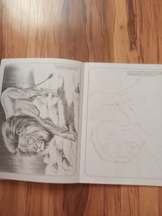 Книжка за рисуване  животни + нови флумастери