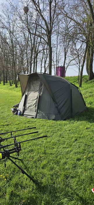 Cort Nash Titan T2