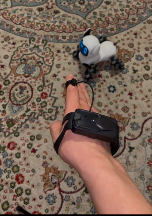 Игрушки | Подарок | Роботы