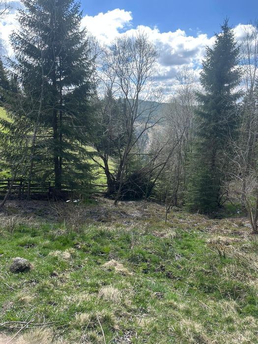 Teren la munte 4717m.p 30000 de euro