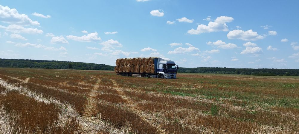 Baloți rotunzi de paie