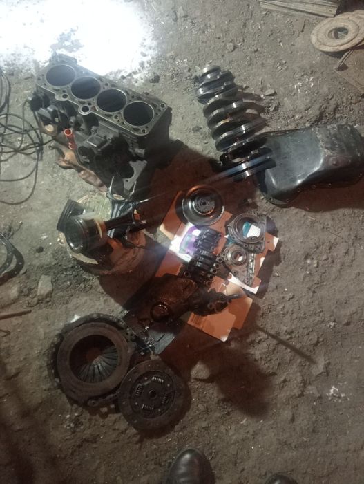 продам 2 галовка Мона