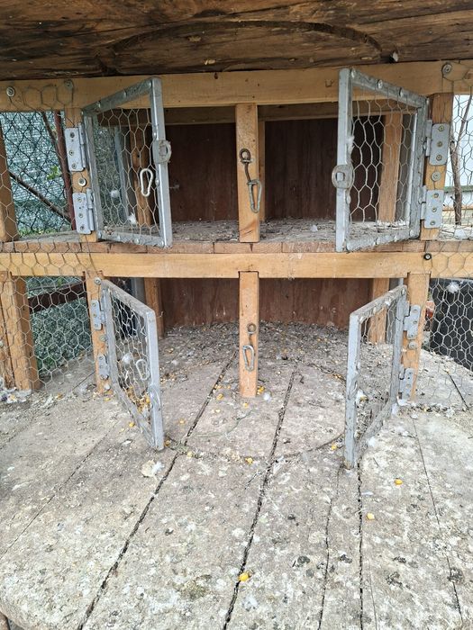 Voliera pasari de vanzare