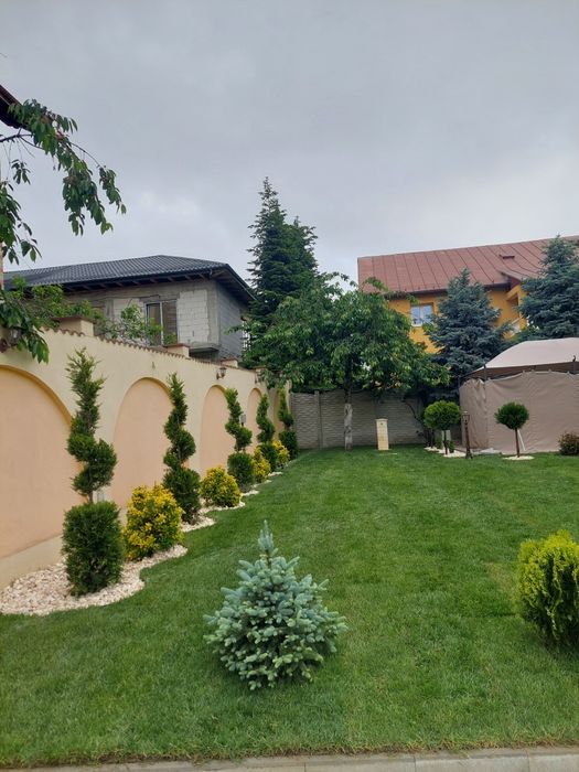 Amenajări grădini sisteme de irigare profesionale Plante ornamentale
