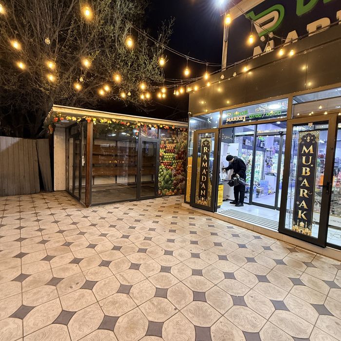 Arenga joy 11 kv sergile yangihayot sputnik 17 da