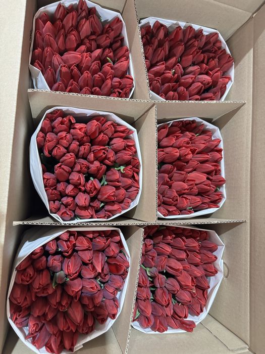 Тюльпаны за 300 тг