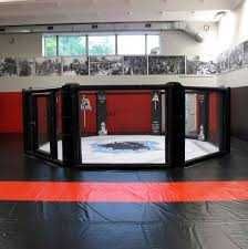 Октагон, клетка, восьмиугольник, ринг для MMA купить