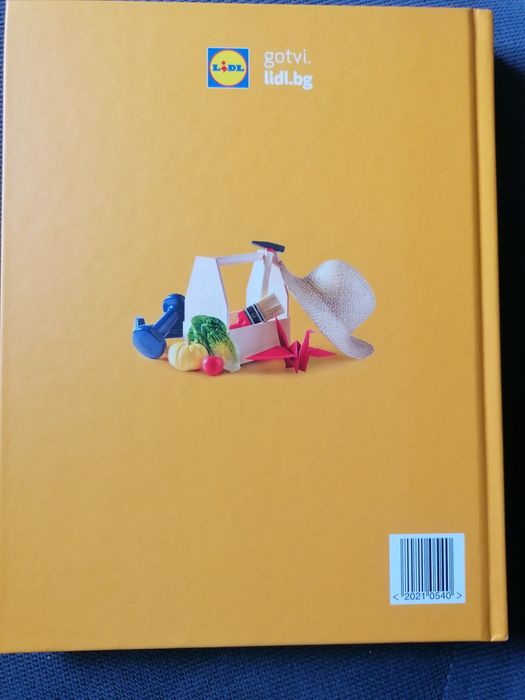 Книга лидл Манчев и Шишков