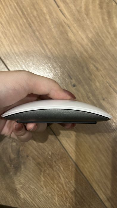 Беспроводная мышь Apple Magic Mouse 2