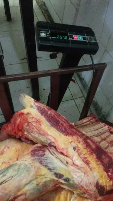 Мясо ет оптом социалный  баға
