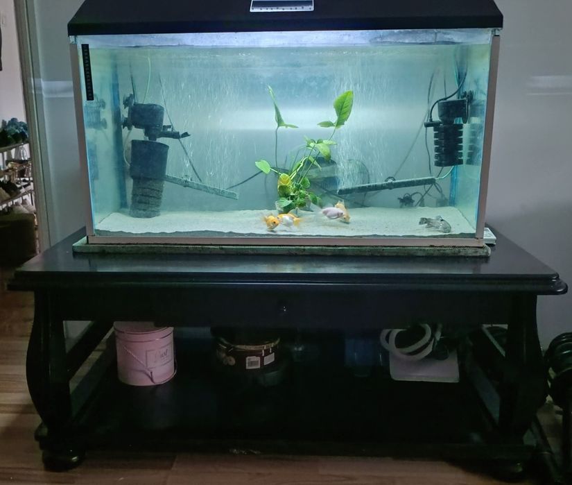 Vând acvariu 200L cu toate accesoriile