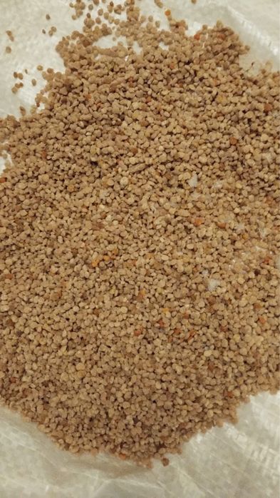 Vand polen de paducel (congelat)