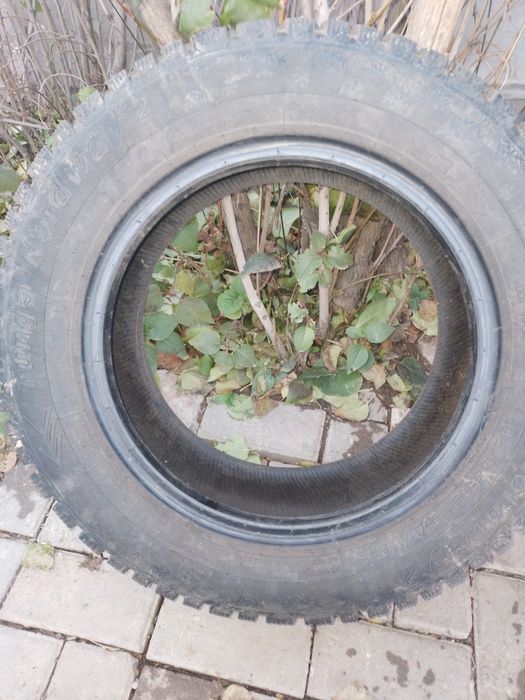 Шипованая резина,Норд вей