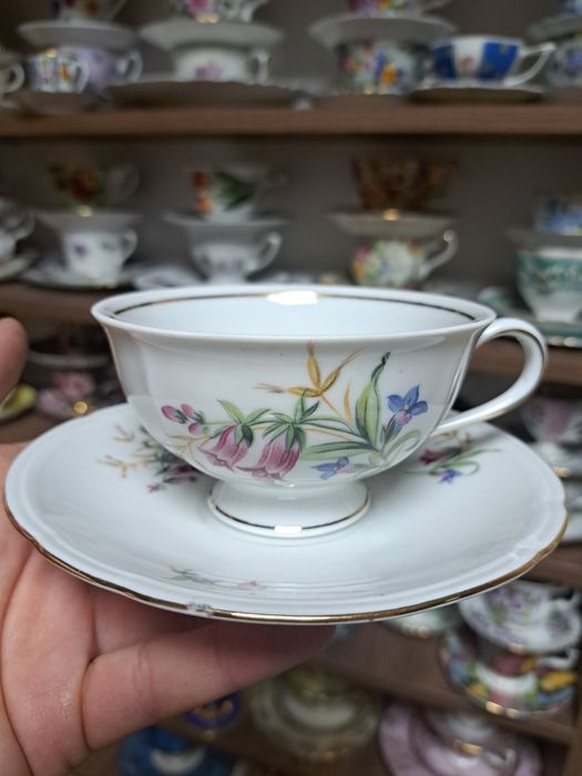 Порцеланово сетче-20 лв