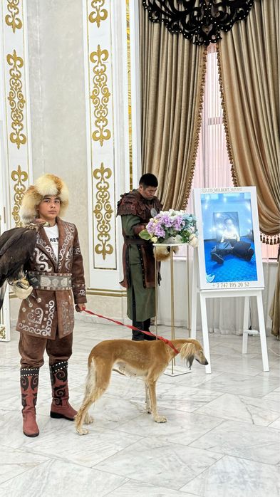 Лед мольберт 500 мын