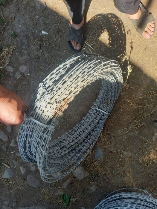 Колючая проводка Егоза