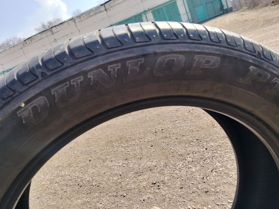 Продам шины летние Dunlop