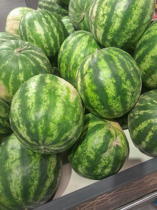 Арбуз тарвуз  доставка