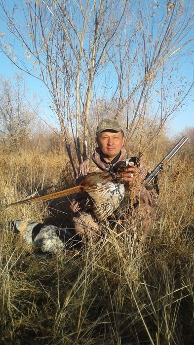 Вязка Русский спаниель кобель