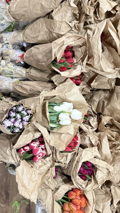 Крупные цветы тюльпаны | Астана