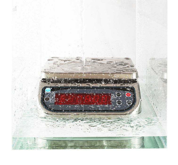 Влагозащищенные весы WPS-6K2  макс=6kg, d=2g.