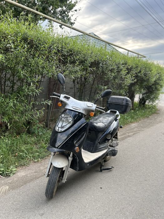 Racer Sagitta 50