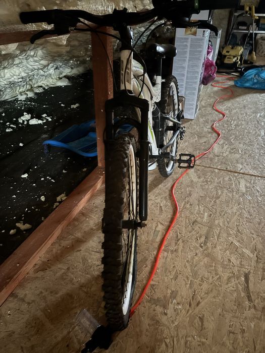 Bicicleta nefolosita, calitativa