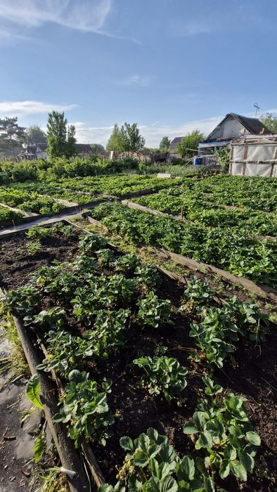 Продам дачу на Чапаево