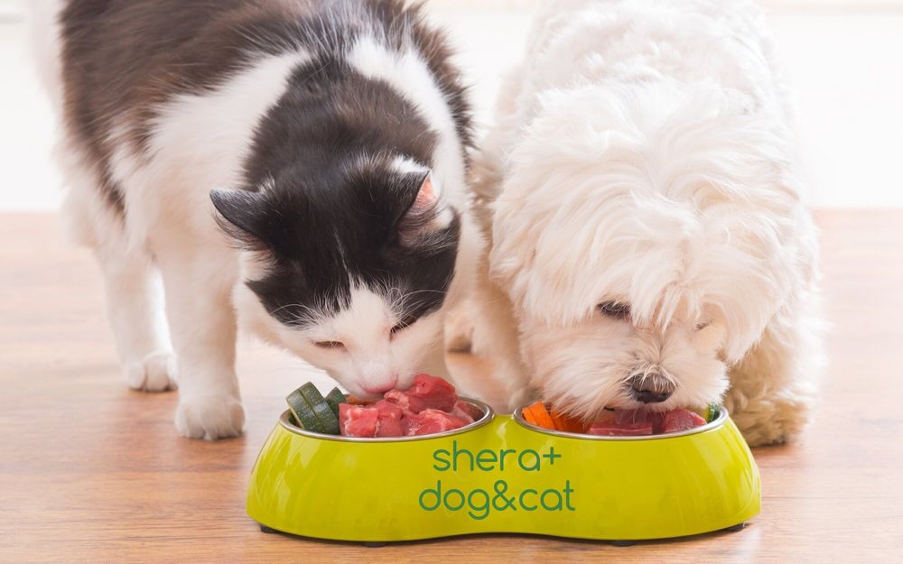 Кормление животных фото Кормление животных фото