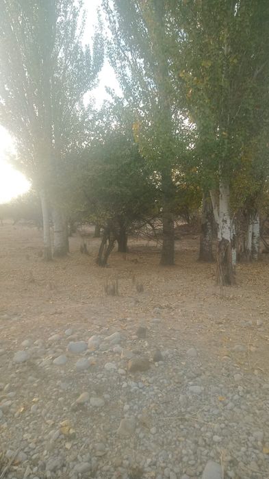 Продам участок 63 суток