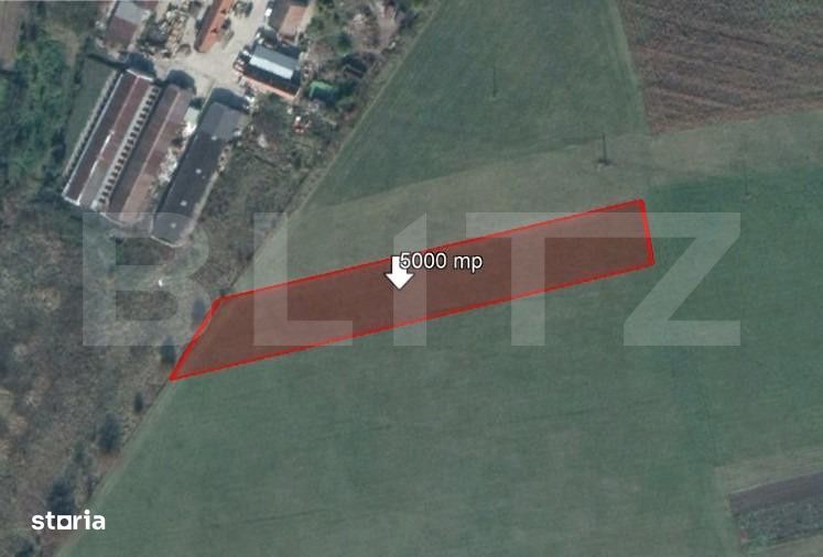 teren de 5000 mp, Stupini