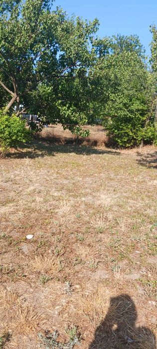 Продава се Къща в с. Оброчище, Област Добрич - 140 кв.м за 543 €/кв.м - Снимка #4