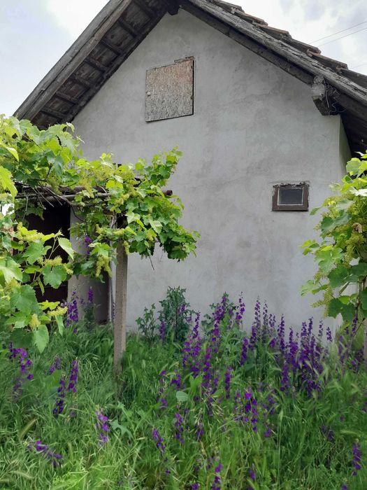 Продава се Къща в с. Новачене, Област Плевен - 1367 кв.м за 11 €/кв.м - Снимка #4