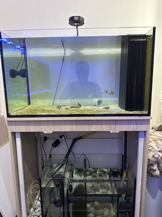 Продаётся морской аквариум 300 л
