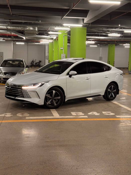 Byd chazor 2024 Yil 2 pozitsiya