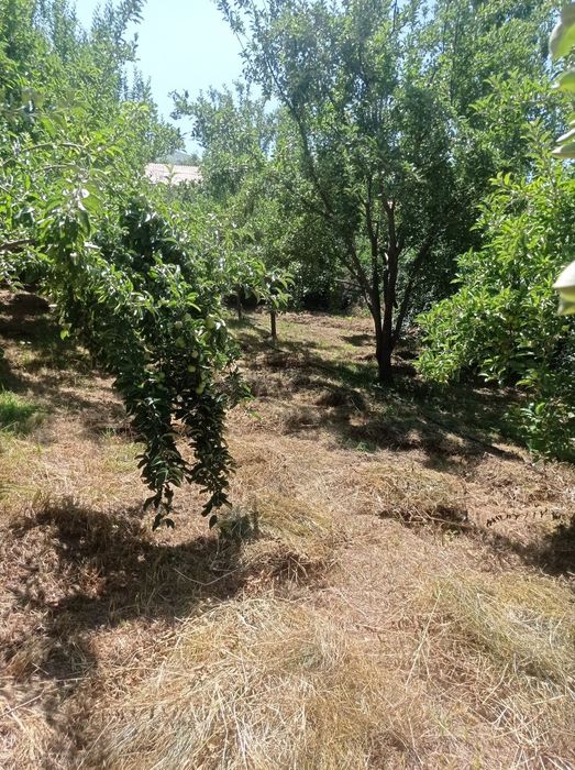 10 соток ер сотилади