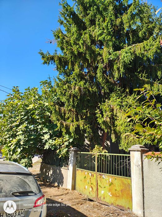 Продава се Къща в Видин, Христо Ботев - 118 кв.м за 108 €/кв.м - Снимка #14