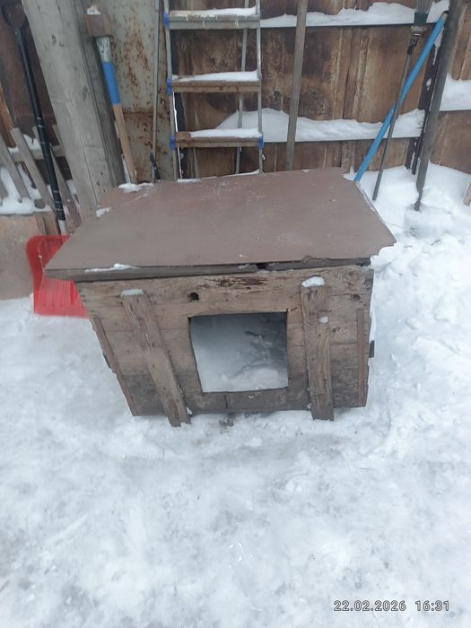 бутку для собаки 6000