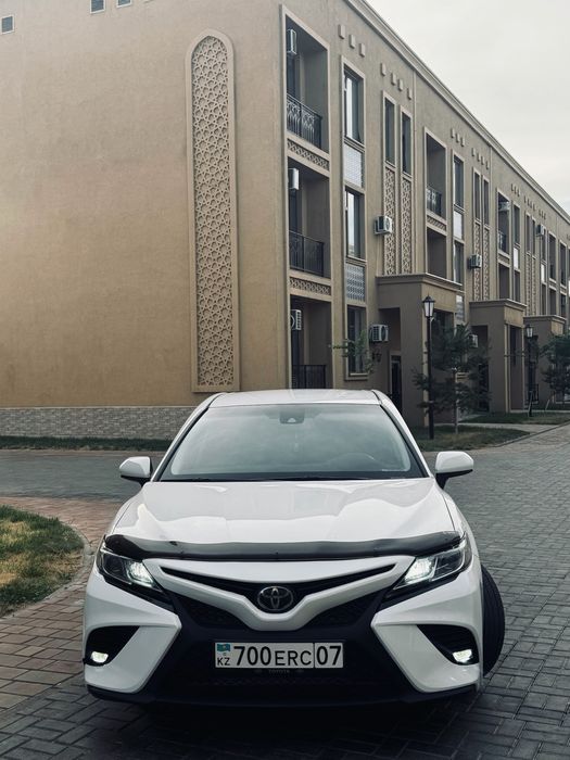 Мухобойка камри 70