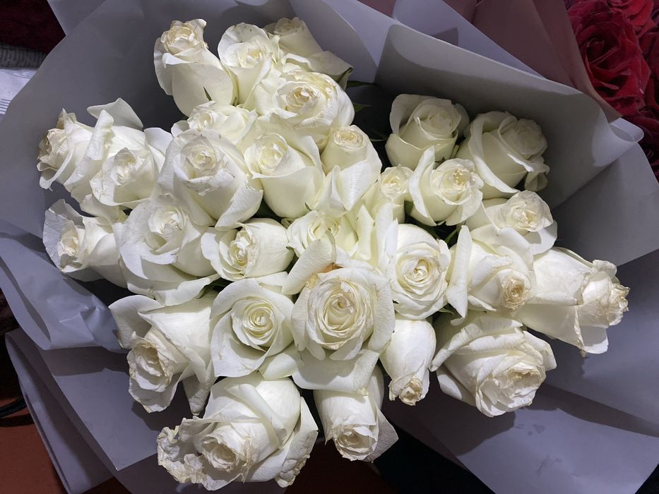 Белые и красные розы