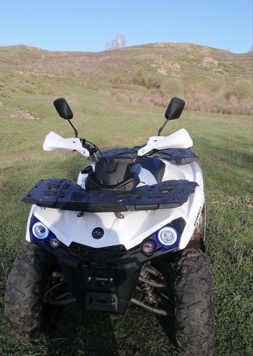 Квадроцикл Sharmax300